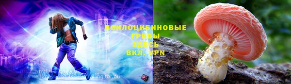 герыч Алексин