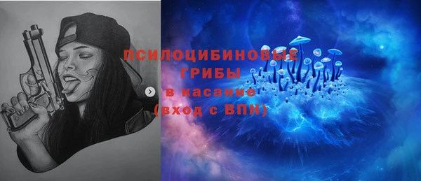 герыч Алексин
